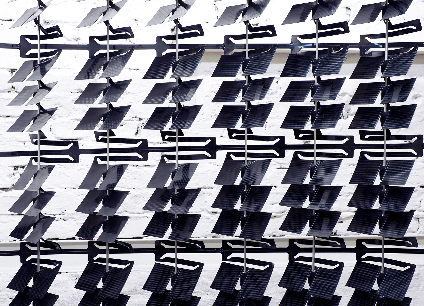 Vivian Tamm